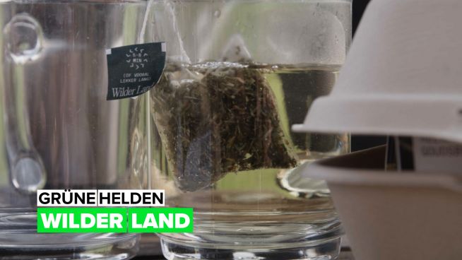 GRÜNE HELDEN: Wilder Land